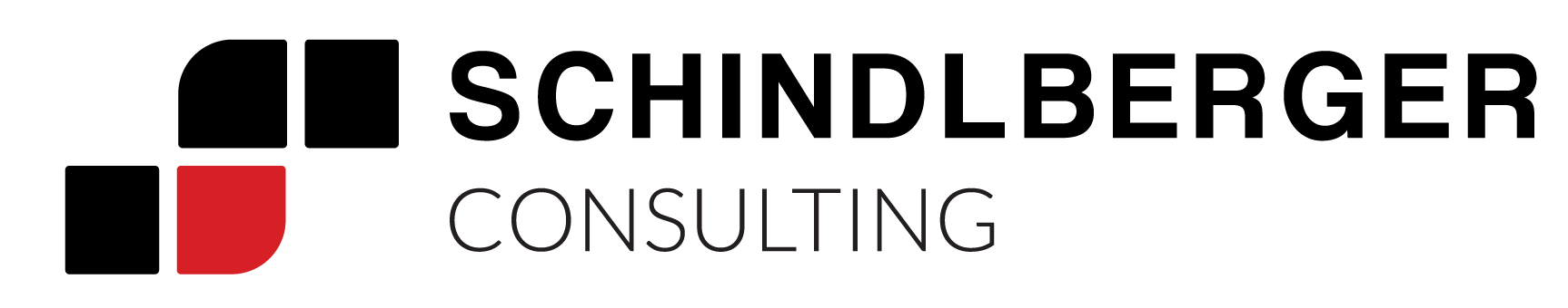 Schindlberger Consulting header logo